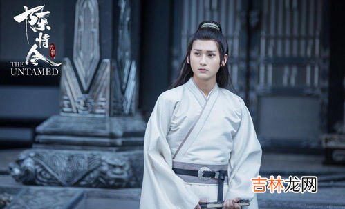 陈情令导演是聂怀桑吗,陈情令：聂怀桑为什么被称为聂导？他都做过什么事？