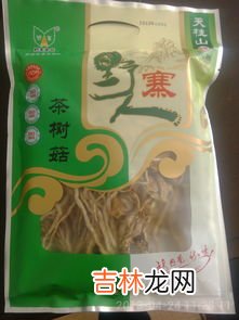 茶树菇产地,我想专门经营野生蘑菇,我国有哪些蘑菇产地呢?
