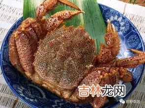 海鲜不宜跟什么东西配吃,海鲜不能和什么一起吃