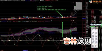 买油看什么指标,菜籽油如何选看什么指标?