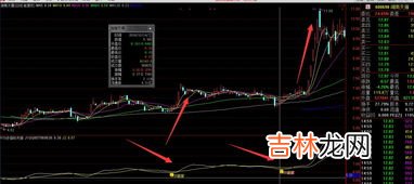 买油看什么指标,菜籽油如何选看什么指标?