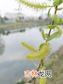 春天是什么季节,春天是什么季节？