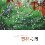 春天是什么季节,春天是什么季节？