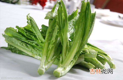 油麦菜发苦是怎么回事,油麦菜苦是怎么回事