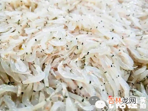 牛奶和虾能一起吃吗,虾和牛奶能一起吃吗 虾和牛奶是否能一起吃