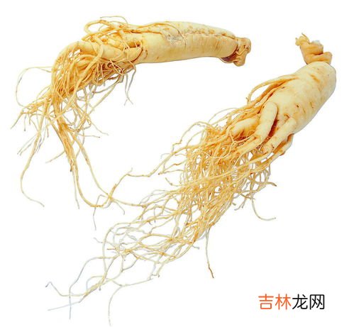 人参养荣丸的功效与作用,《红楼梦》里林黛玉吃的“人参养荣丸”是什么东西？