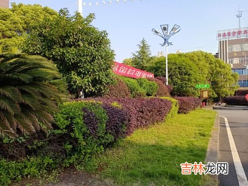 花草树木不仅可以美化环境还可以什么,花草树木的作用花草树木的作用是什么花草树木的作用资料