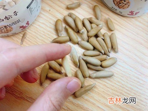 松子皮能吃吗,松子皮能吃吗？