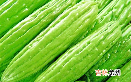 菜瓜的功效与作用,菜瓜是什么 有什么营养价值