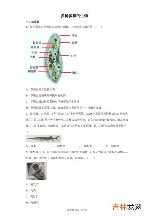 草履虫是原核生物吗,草履虫是真核生物还是原核生物？