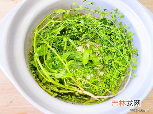 三月三吃什么野菜,广西三月三传统的美味特色小吃