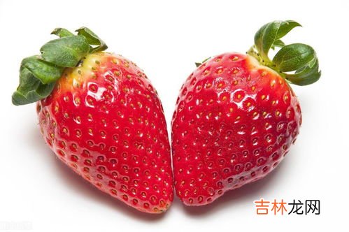 草莓各个时期的施肥方案,草莓如何施肥?什么时候施肥?