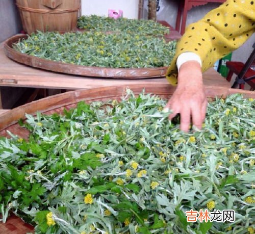 艾叶泡脚有什么好处,艾叶泡脚的好处与功效是什么 原来好处这么多