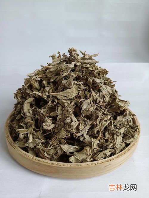 艾叶泡脚有什么好处,艾叶泡脚的好处与功效是什么 原来好处这么多