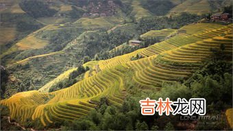 梯田的作用,梯田的作用不是防止水土流失吗?那为什么江南丘陵地区的梯田会导致水土流失?
