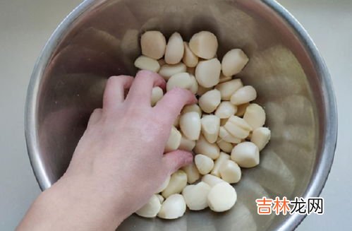 腊八蒜见光还是不见光,腊八蒜需要放在阳光下吗