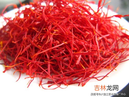 藏红花种植时间和方法,藏红花种植方法与时间