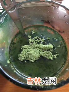 大麦青汁荷叶糕怎么样,荷叶凉糕的做法