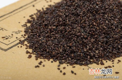西坦素的作用与功效,复方吡拉西坦脑蛋白水解物片的功效及作用
