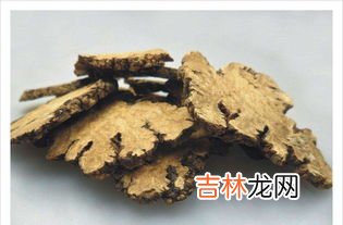 西坦素的作用与功效,复方吡拉西坦脑蛋白水解物片的功效及作用