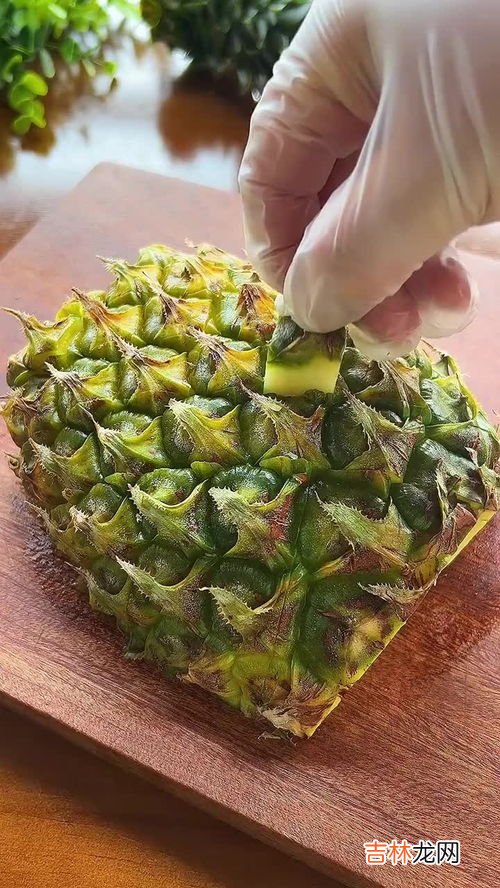 菠萝头怎么养才长得好,菠萝上的头怎么种