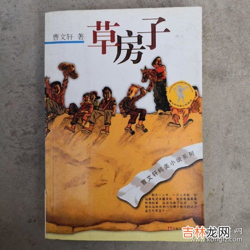 草房子概括,草房子每章内容概括草房子每章的主要内容是什么