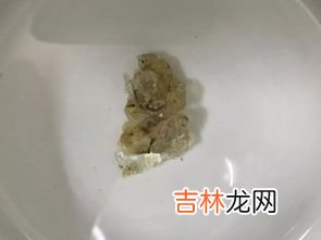 银耳泡了一天一夜还能吃吗,银耳泡了一天一夜还能吃吗