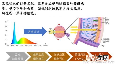 蓝光是什么?为什么要防蓝光,防蓝光是什么意思