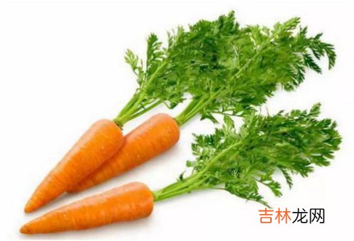 家庭胡萝卜最佳储存方法,胡萝卜的家庭储存方法 胡萝卜怎么储存