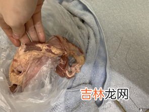 咸鱼发臭是变质了吗,咸鱼那么臭是为什么