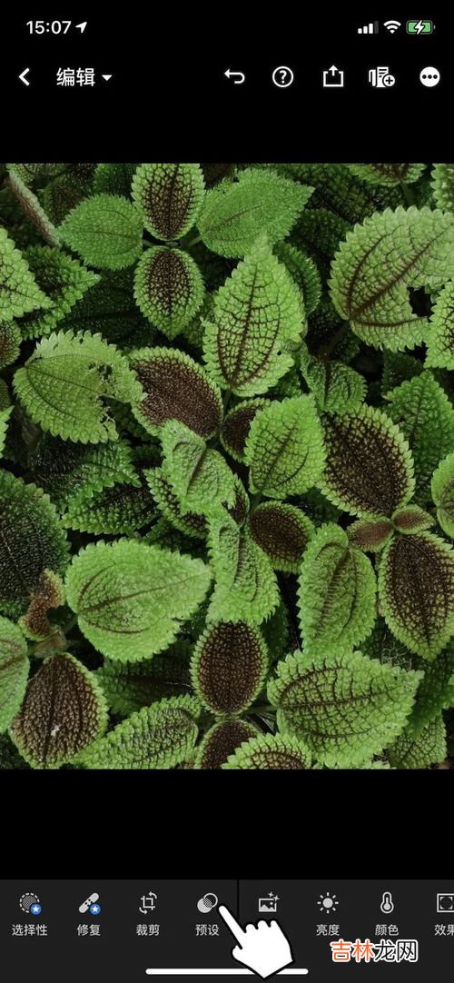 怎么关闭实况拍照,iphone拍照怎么默认关闭实况