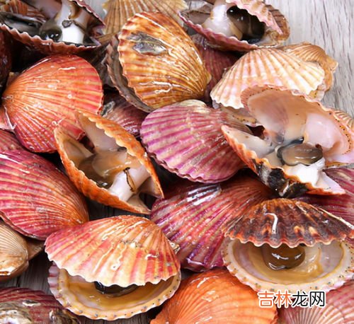 煮扇贝冷水下还是热水下,扇贝用冷水还是热水下锅