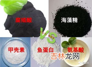 农用甲壳素的功效与作用,甲壳素水溶肥的功效与作用,可以长期用吗