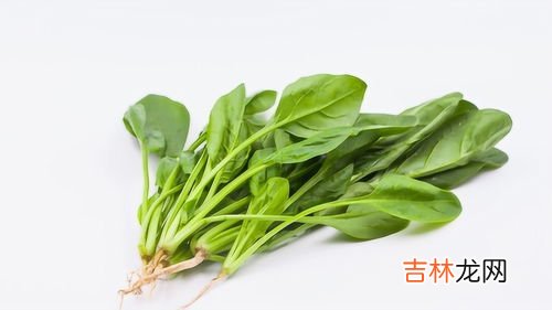 菠菜什么时间种最好,菠菜什么时间种植