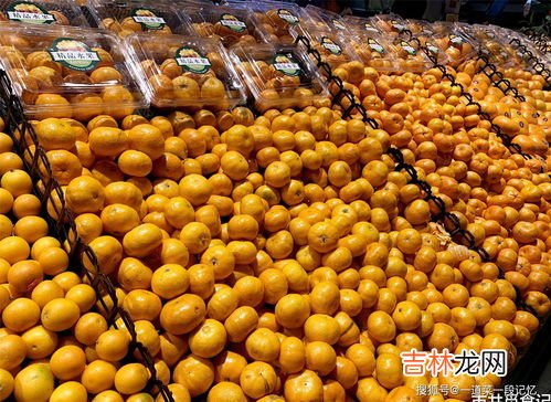 沙糖桔怎么保存一个月,沙糖桔保存方法