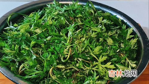 艾叶的做法：好吃的艾叶煎蛋,艾叶炒鸡蛋的正确做法