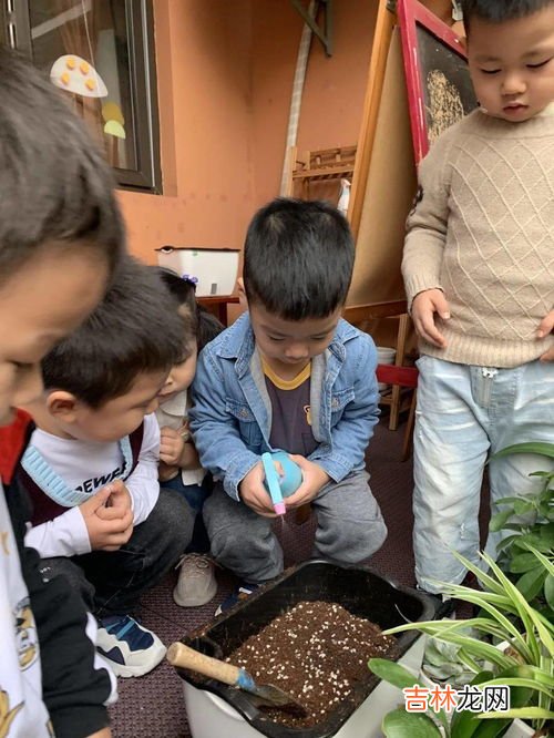 种子发芽的三个条件,不同种子萌发的条件有哪些