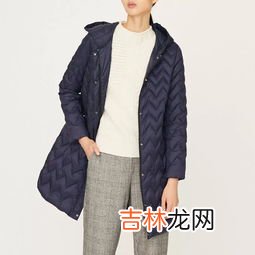 coat是什么意思中文,coat的中文是什么意思