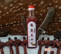 鹿血晶片的功效与作用,鹿杞参精片能吃吗？