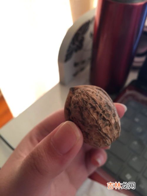 核桃放久了还能吃吗,密封的核桃仁过期了还能吃吗 核桃仁不脆了还能吃吗