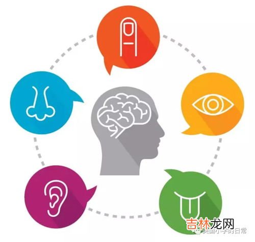 五感是哪五感,五感包括哪五感