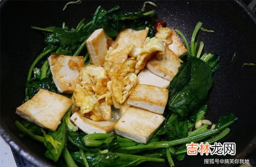 菠菜豆腐可以一起吃吗,菠菜和豆腐能同吃吗