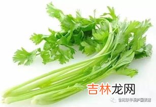 冻芹菜可以吃吗,芹菜冻了之后可以吃吗