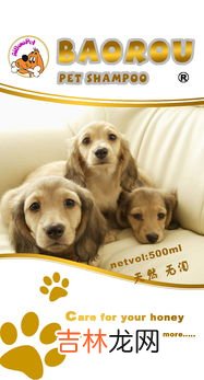 被猫狗咬伤多久内打针,被猫狗咬伤后第一次注射的最佳时间