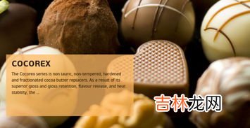 减肥时可以吃巧克力吗`,减肥可以吃巧克力补充能量吗