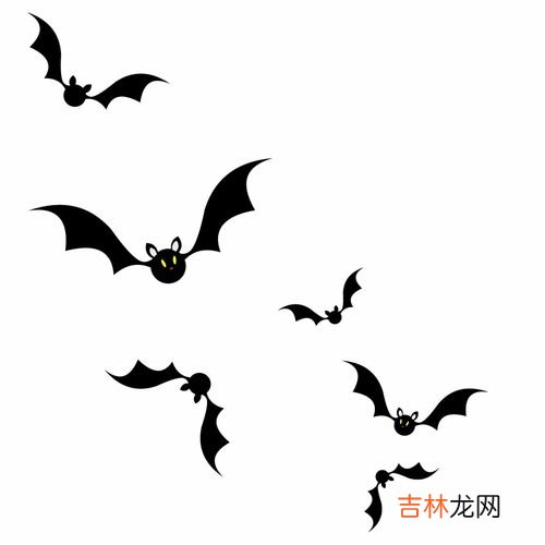 蝙蝠飞行靠的是什么,蝙蝠是靠什么飞行的?