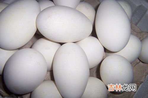鹅蛋存放了6个月能吃吗,鹅蛋放时间长了能吃吗 鹅蛋放时间长了会发生什么变化