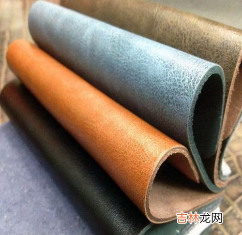 真皮是指什么皮,真皮是指什么皮