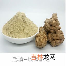 云南三七粉有什么功效,什么是三七粉 三七粉的功效有什么