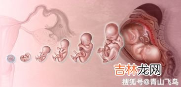 什么原因会引起宫外孕,宫外孕是怎么引起的呢